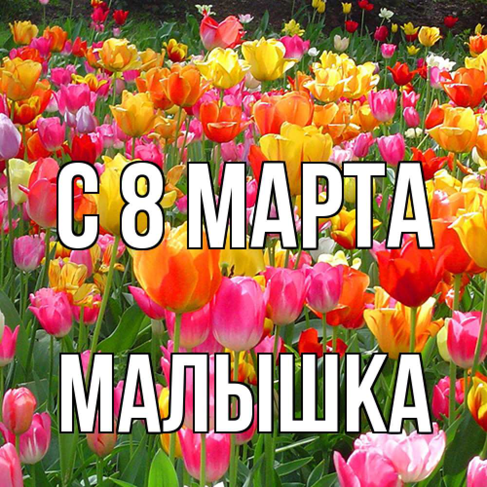 Открытка на каждый день с именем, малышка C 8 МАРТА на международный женский день Прикольная открытка с пожеланием онлайн скачать бесплатно 