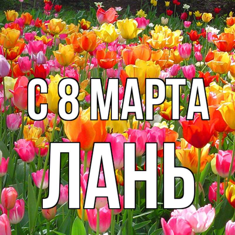 Картинка C 8 МАРТА, лань