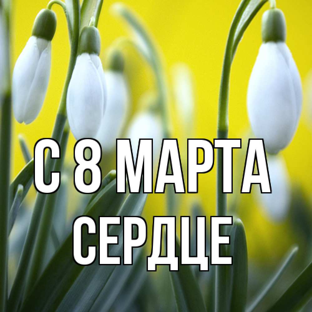 Открытка на каждый день с именем, сердце C 8 МАРТА весенние цветы Прикольная открытка с пожеланием онлайн скачать бесплатно 