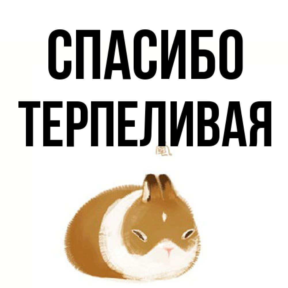 Открытка на каждый день с именем, терпеливая Спасибо коричнево белый домашний питомец Прикольная открытка с пожеланием онлайн скачать бесплатно 