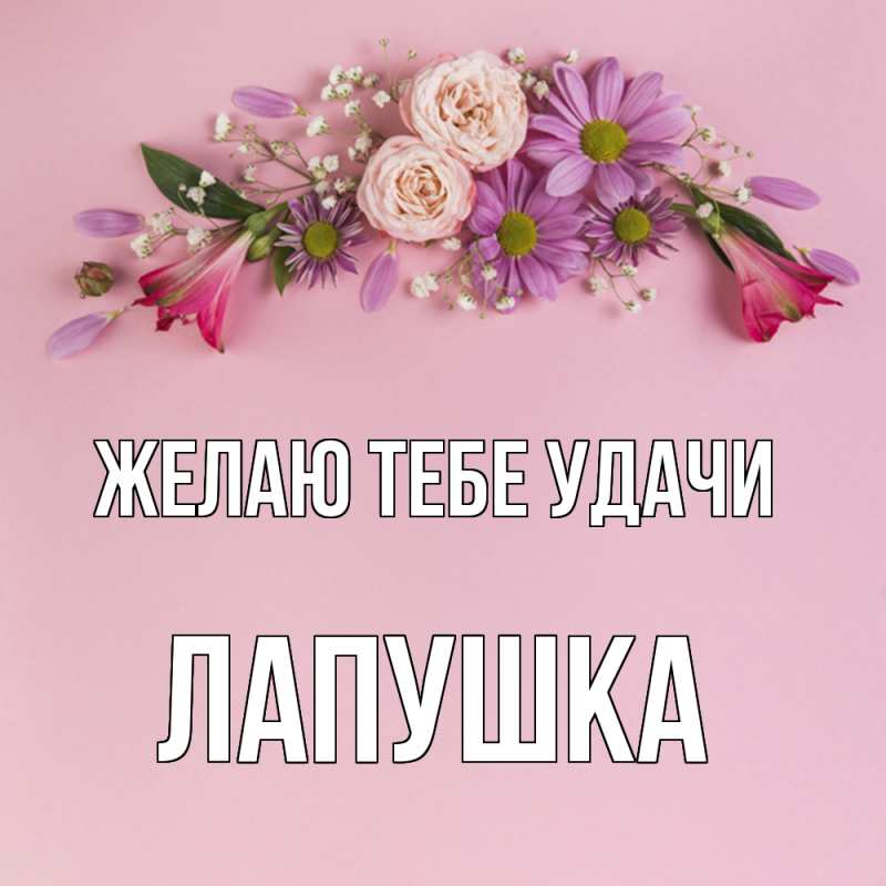 Картинка Желаю тебе удачи, лапушка