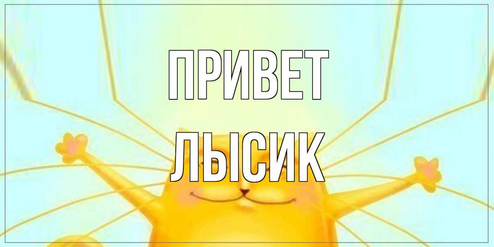 Открытка на каждый день с именем, Лысик Привет кот Прикольная открытка с пожеланием онлайн скачать бесплатно 