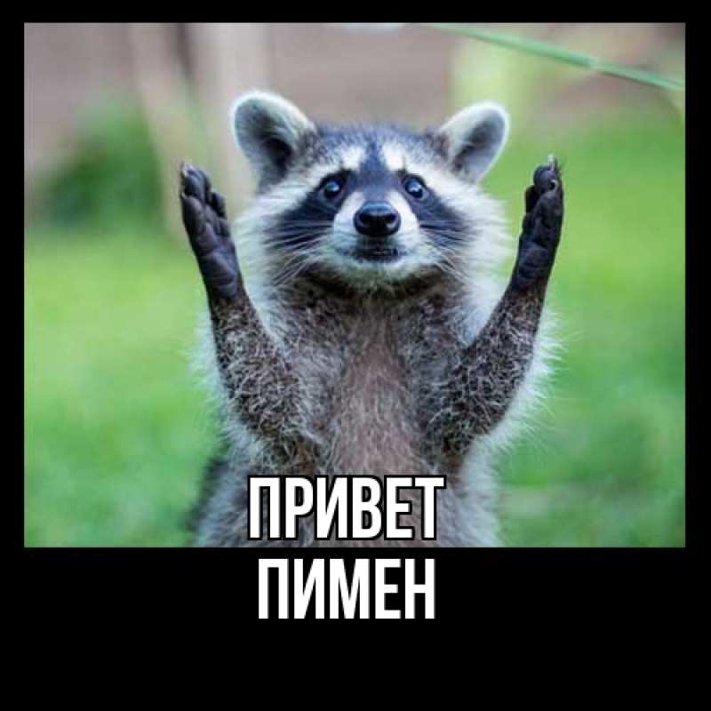 Картинка Привет, Пимен