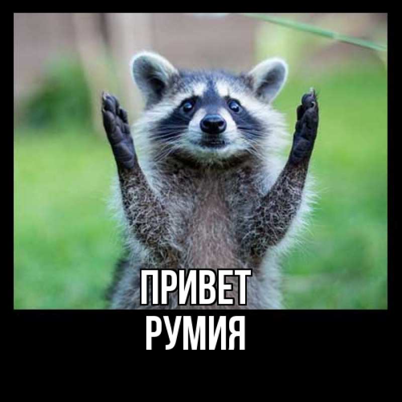 Картинка Привет, Румия
