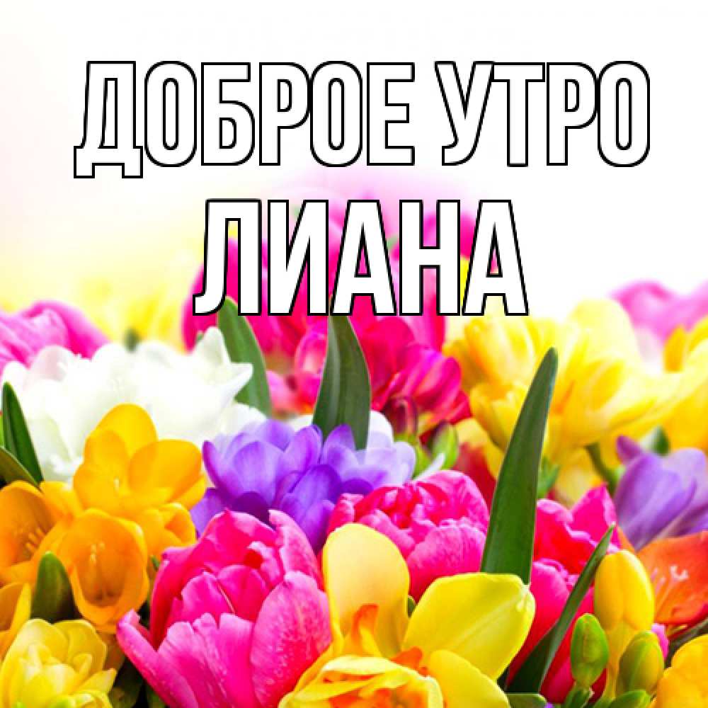 Открытка на каждый день с именем, Лиана Доброе утро создать открытку со свое подписью Прикольная открытка с пожеланием онлайн скачать бесплатно 