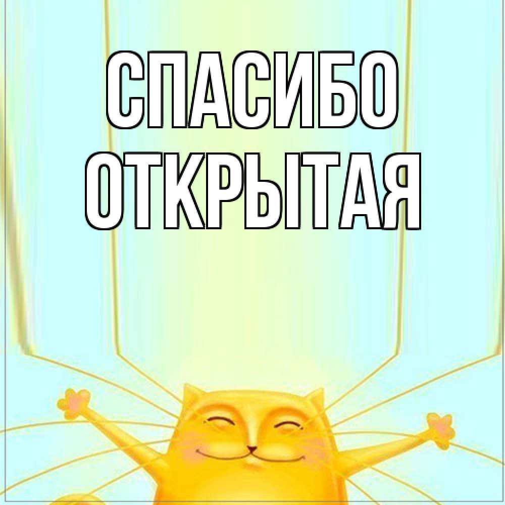 Открытка на каждый день с именем, открытая Спасибо кот с усами благодарит Прикольная открытка с пожеланием онлайн скачать бесплатно 