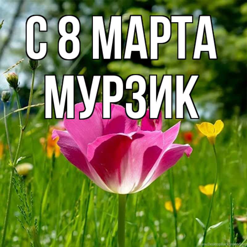 Картинка C 8 МАРТА, Муpзик