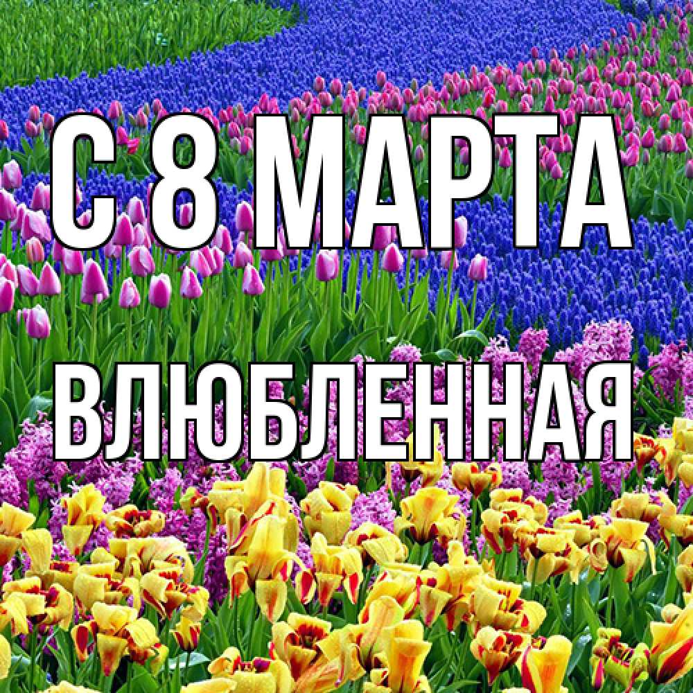 Открытка на каждый день с именем, Влюбленная C 8 МАРТА цветы Прикольная открытка с пожеланием онлайн скачать бесплатно 