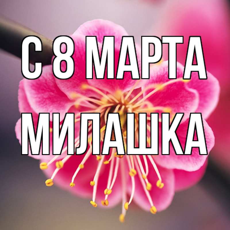 Картинка C 8 МАРТА, Милашка