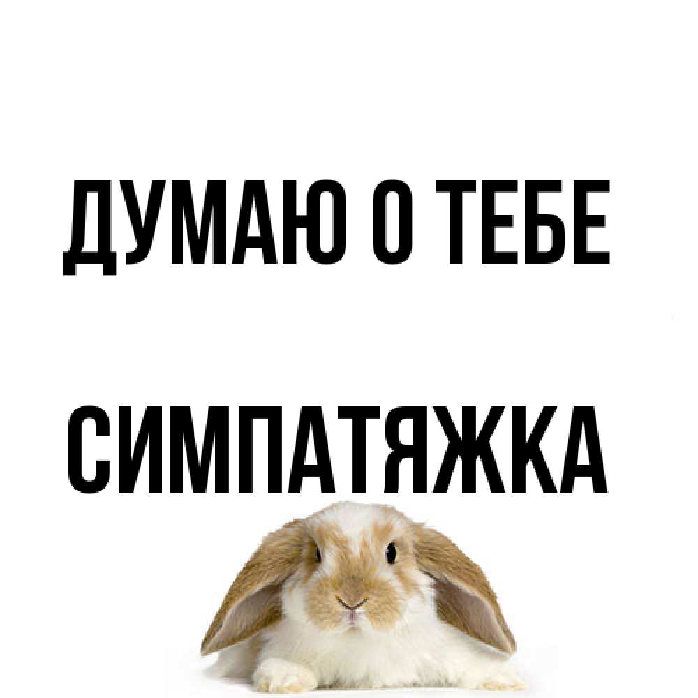 Открытка на каждый день с именем, Симпатяжка Думаю о тебе подписать своими руками онлайн Прикольная открытка с пожеланием онлайн скачать бесплатно 