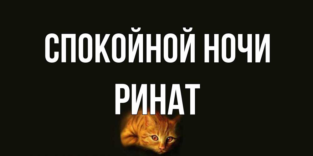 Открытка на каждый день с именем, Ринат Спокойной ночи кот Прикольная открытка с пожеланием онлайн скачать бесплатно 