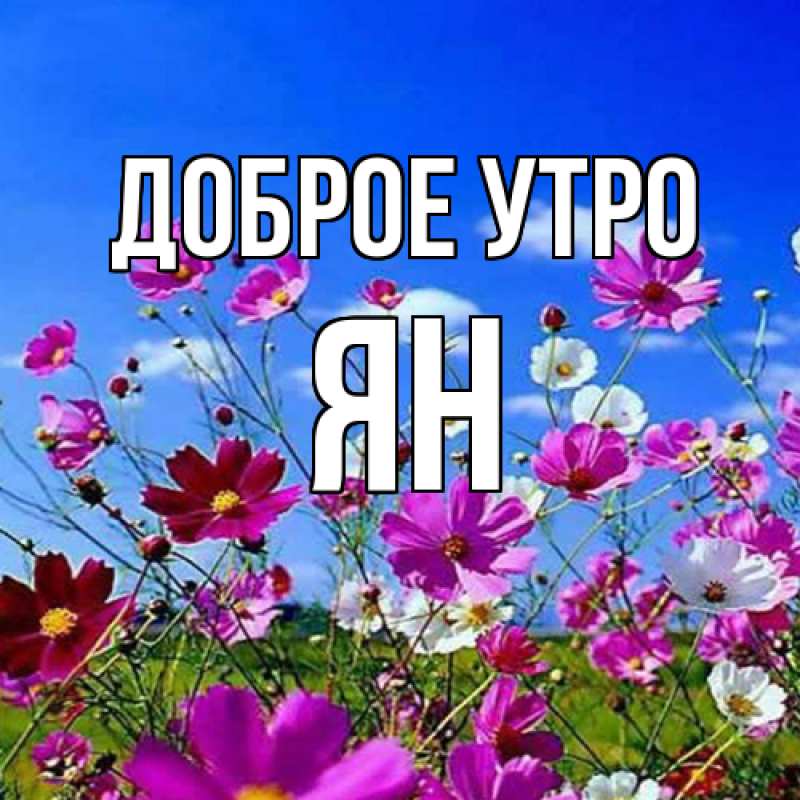 Картинка Доброе утро, Ян
