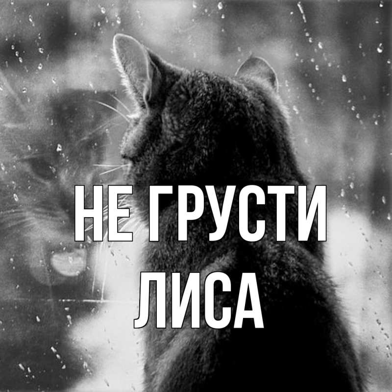 Картинка Не грусти, лиса