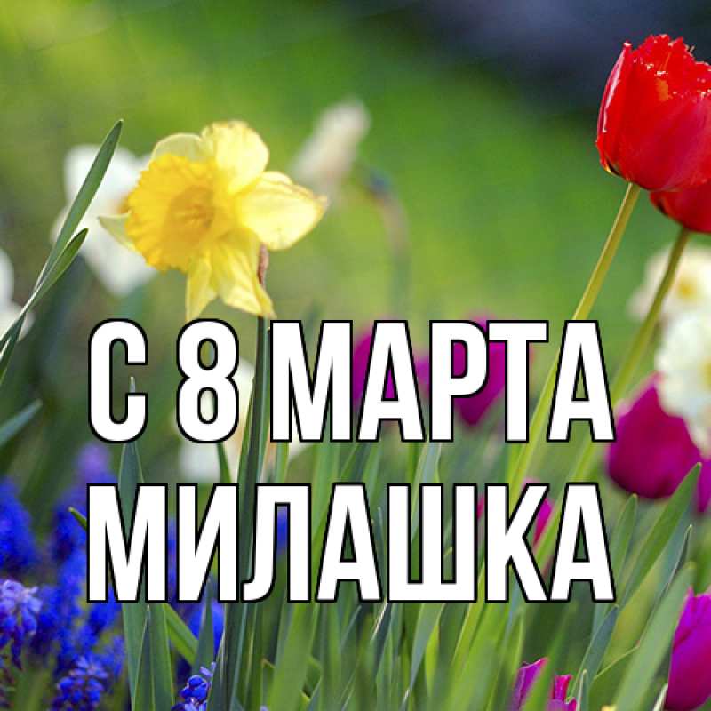 Картинка C 8 МАРТА, Милашка