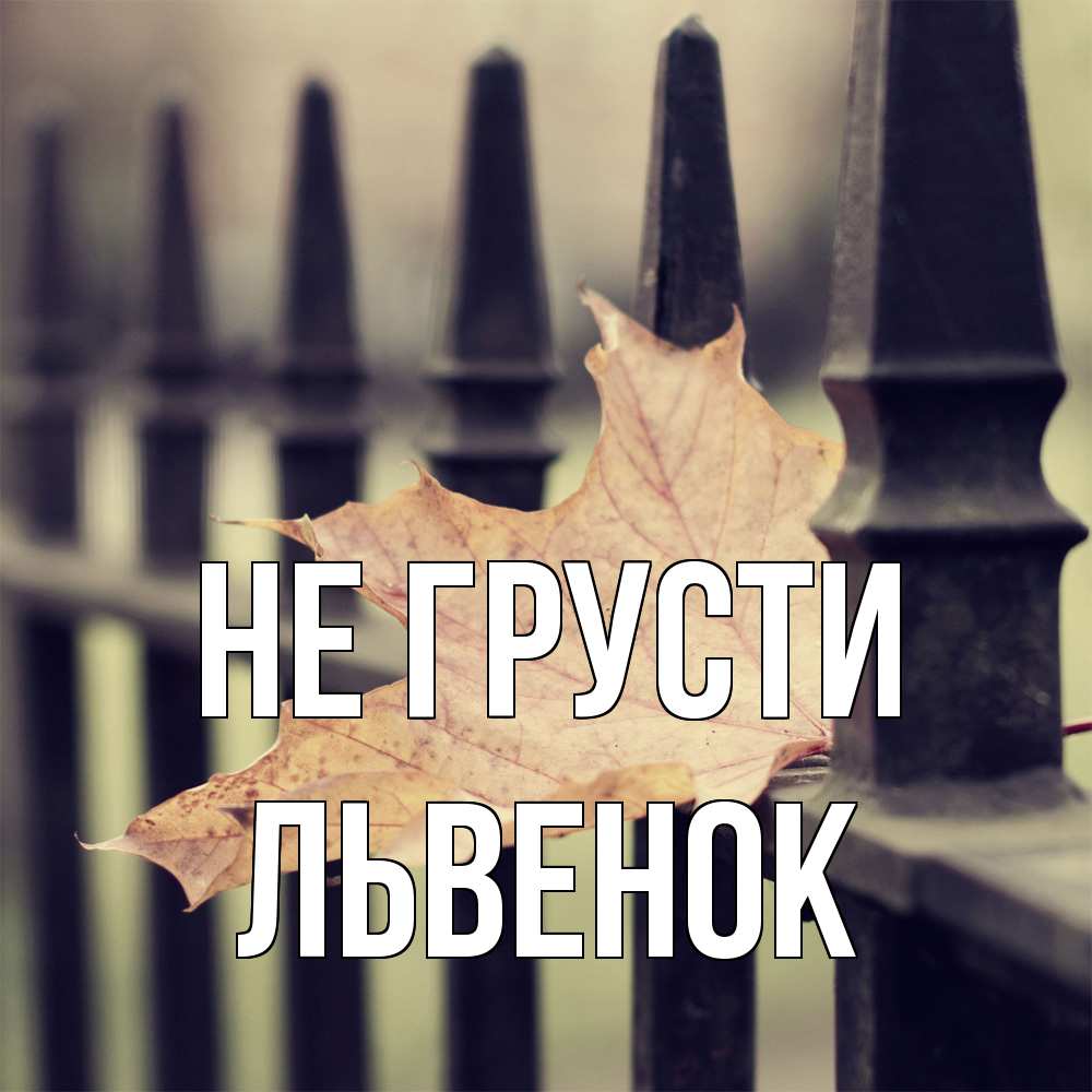 Открытка на каждый день с именем, Львенок Не грусти лист клена Прикольная открытка с пожеланием онлайн скачать бесплатно 