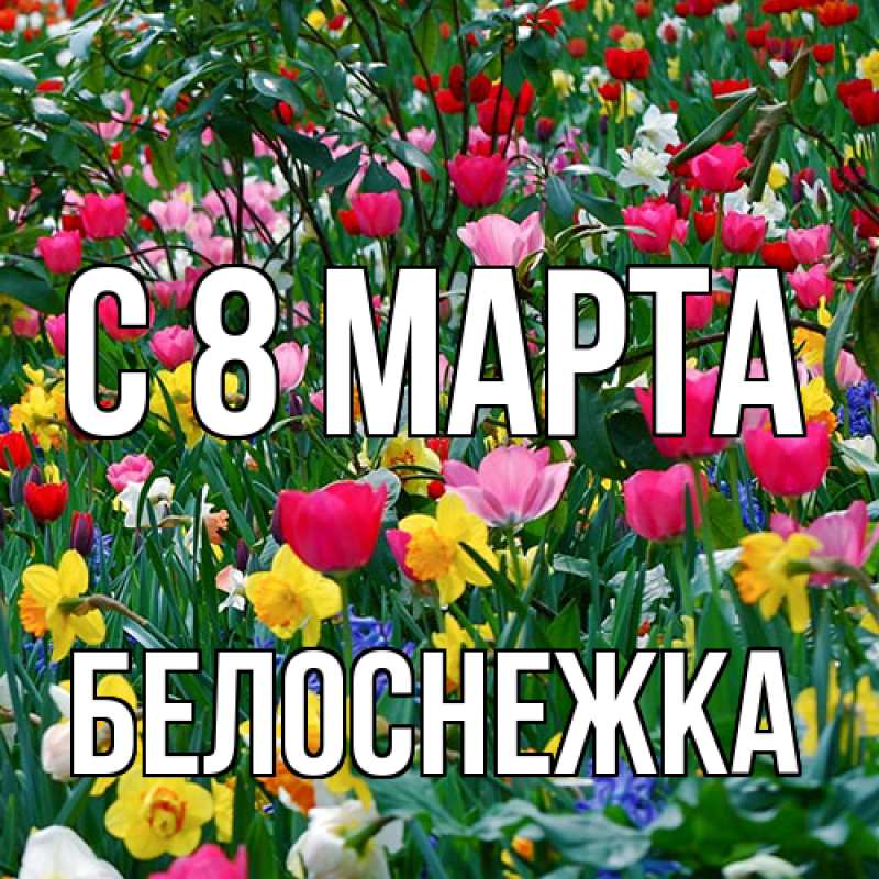 Картинка C 8 МАРТА, Белоснежка