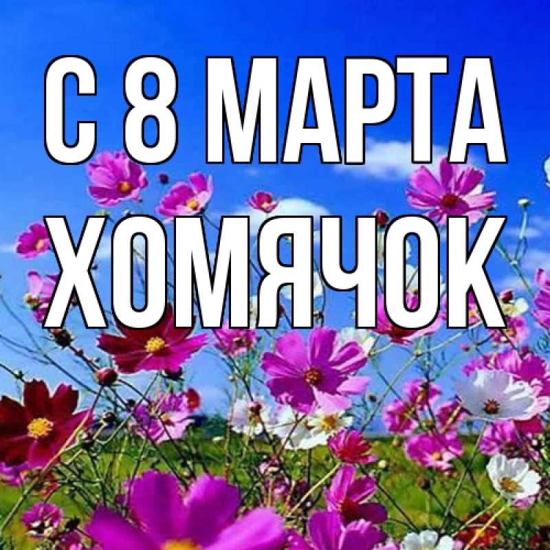 Картинка C 8 МАРТА, Хомячок