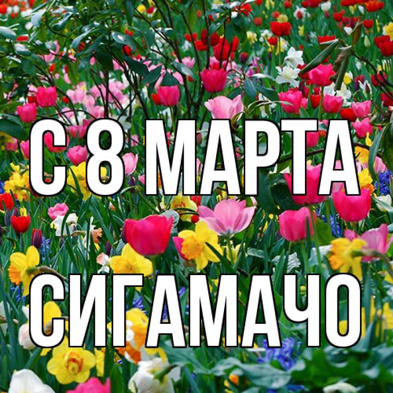 Картинка C 8 МАРТА, Сигамачо