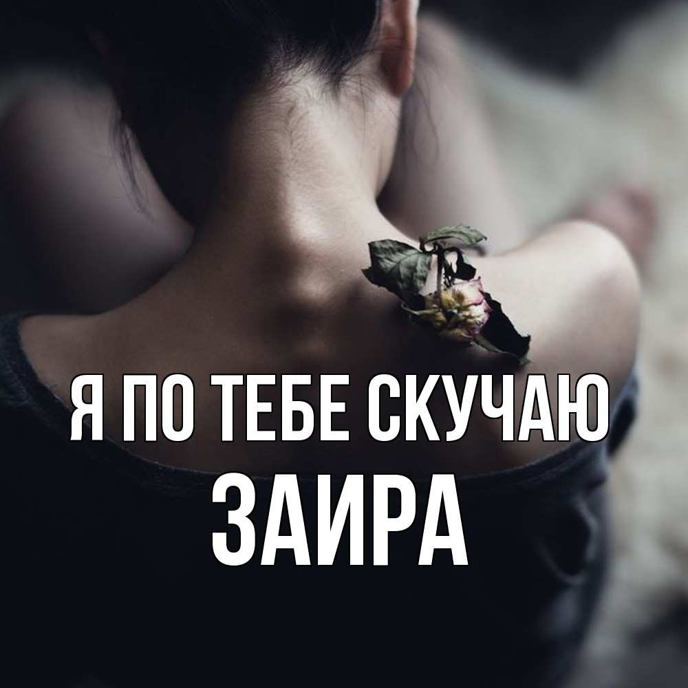 Открытка на каждый день с именем, Заира Я по тебе скучаю засох цветок Прикольная открытка с пожеланием онлайн скачать бесплатно 