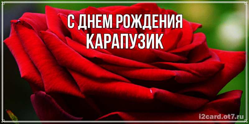 Картинка С днем рождения, карапузик