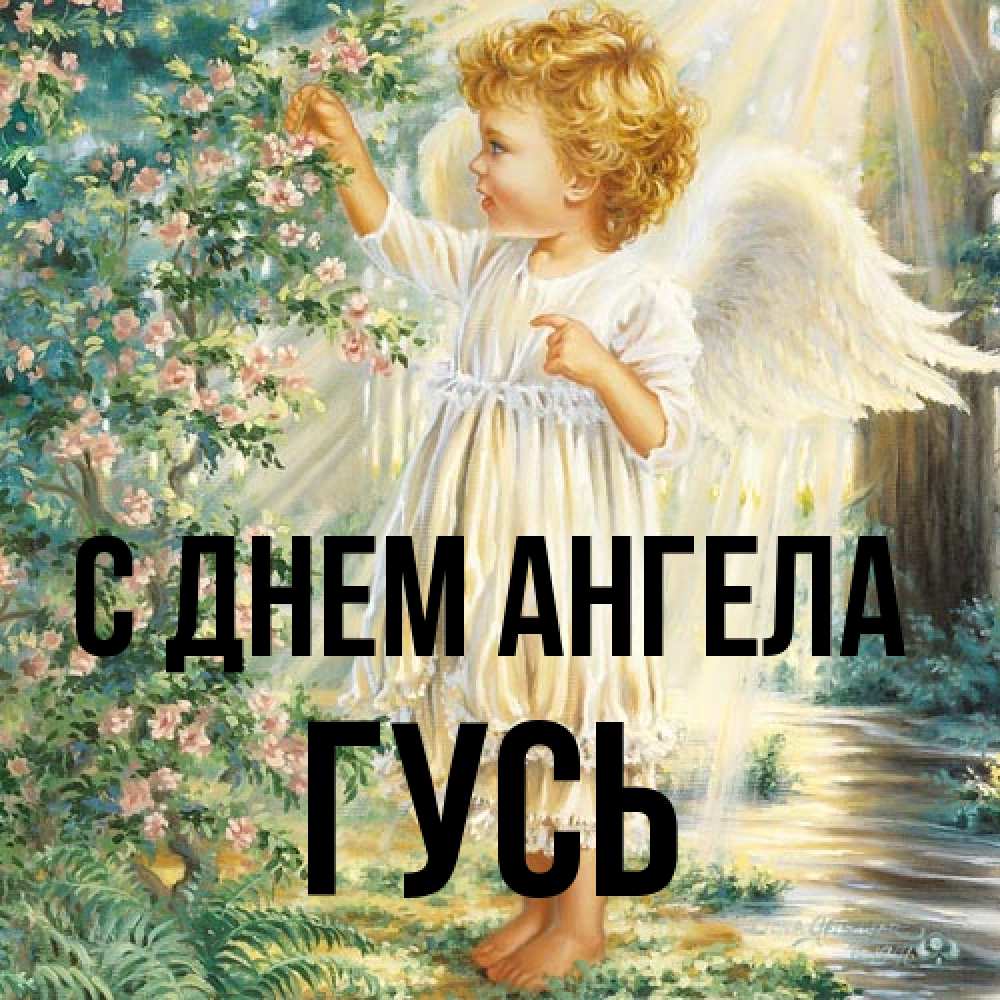 Открытка на каждый день с именем, Гусь С днем ангела собирает цветы Прикольная открытка с пожеланием онлайн скачать бесплатно 