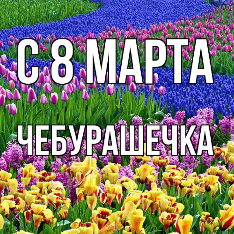 Картинка C 8 МАРТА, Чебурашечка