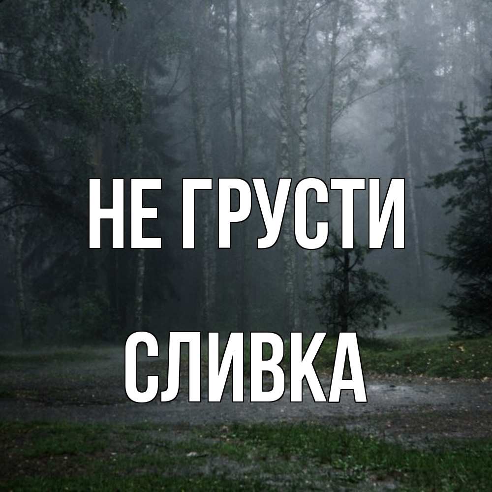 Открытка на каждый день с именем, Сливка Не грусти осень Прикольная открытка с пожеланием онлайн скачать бесплатно 