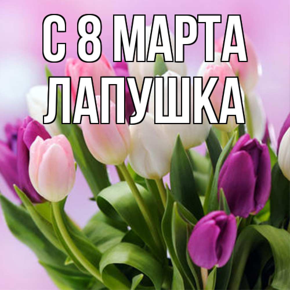 Открытка на каждый день с именем, лапушка C 8 МАРТА весна март Прикольная открытка с пожеланием онлайн скачать бесплатно 