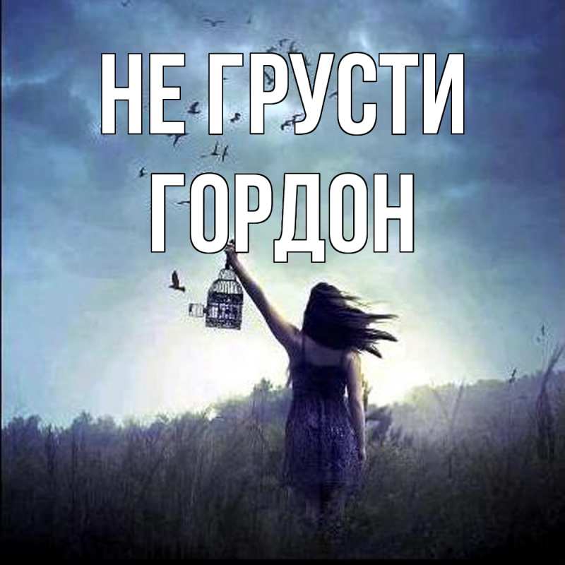 Картинка Не грусти, Гордон