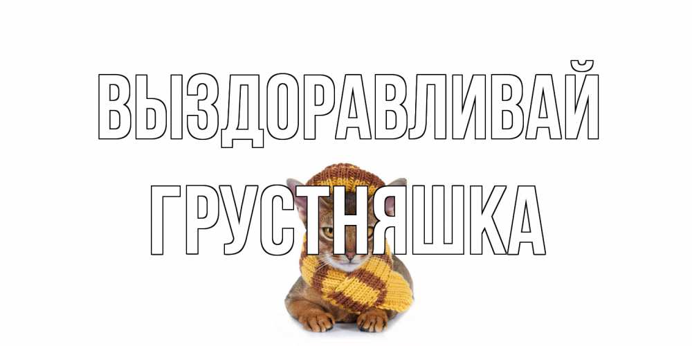 Открытка на каждый день с именем, Грустняшка Выздоравливай родные не болейте Прикольная открытка с пожеланием онлайн скачать бесплатно 
