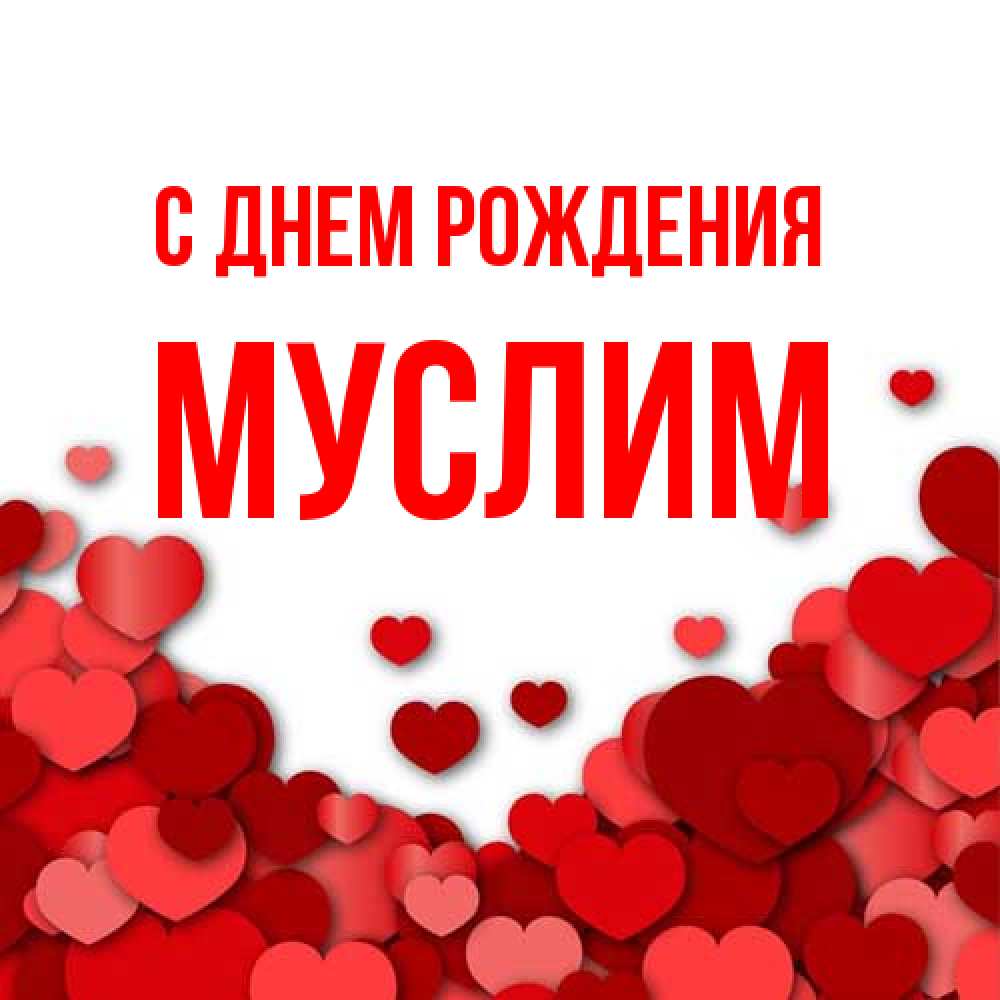 Открытка на каждый день с именем, Муслим С днем рождения много красных сердечек о любви Прикольная открытка с пожеланием онлайн скачать бесплатно 