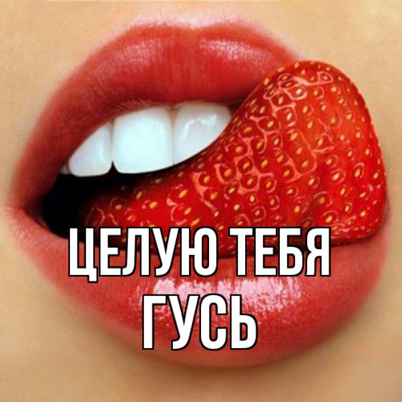 Картинка Целую тебя, Гусь