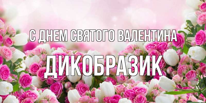 Открытка с именем, дикобразик, С днем Святого Валентина