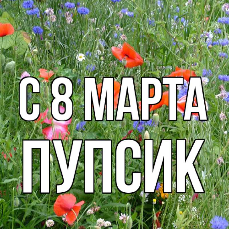 Картинка C 8 МАРТА, пупсик