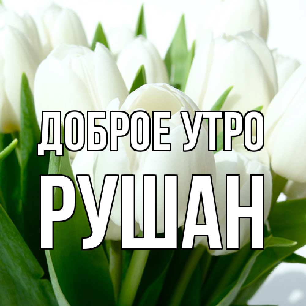 Открытка на каждый день с именем, Рушан Доброе утро открытки на каждый день по именам Прикольная открытка с пожеланием онлайн скачать бесплатно 