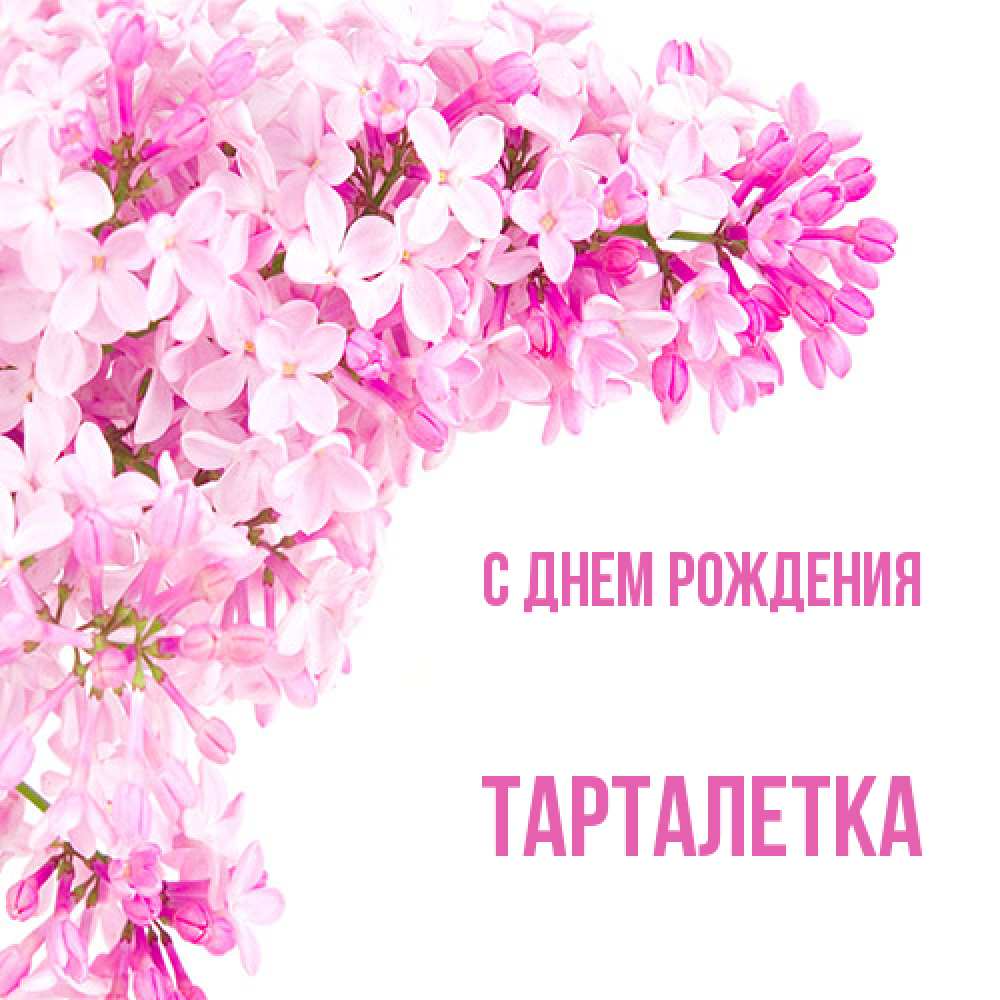 Открытка на каждый день с именем, Тарталетка С днем рождения Сирень на белом фоне Прикольная открытка с пожеланием онлайн скачать бесплатно 