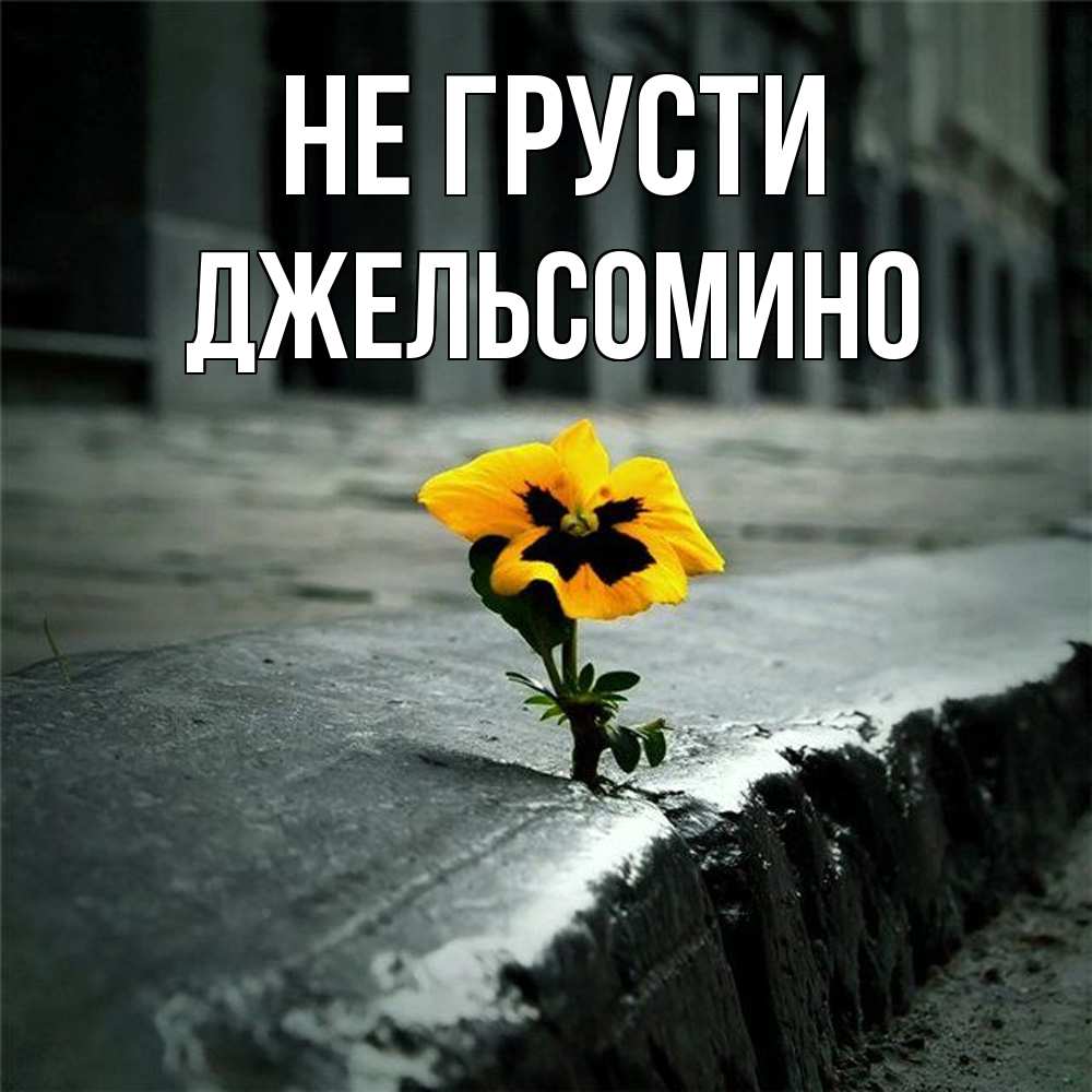 Открытка на каждый день с именем, Джельсомино Не грусти не сдавайся Прикольная открытка с пожеланием онлайн скачать бесплатно 