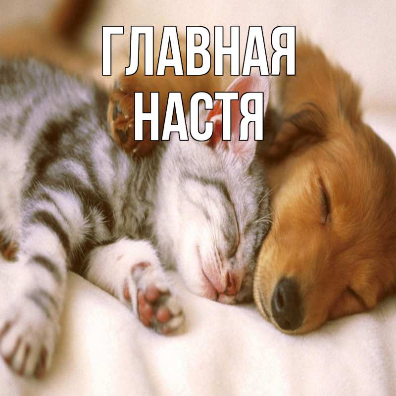 Картинка  с именем , настя