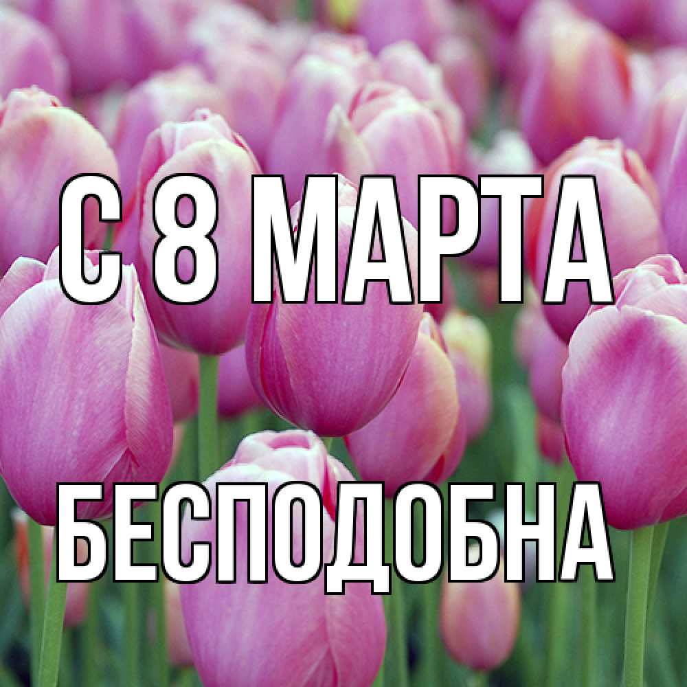 Открытка на каждый день с именем, Бесподобна C 8 МАРТА на международный женский день 3 Прикольная открытка с пожеланием онлайн скачать бесплатно 