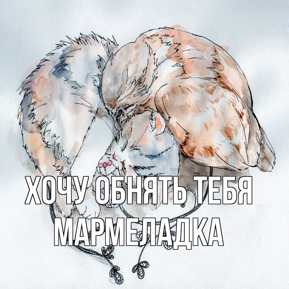 Открытка на каждый день с именем, мармеладка Хочу обнять тебя можно быть вместе даже когда очень разные Прикольная открытка с пожеланием онлайн скачать бесплатно 