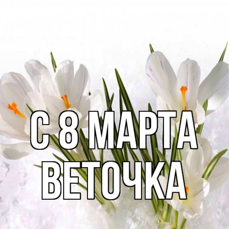 Картинка C 8 МАРТА, Веточка