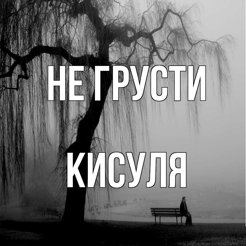 Открытка на каждый день с именем, Кисуля Не грусти висящие ветки дерева и лавочка под деревом Прикольная открытка с пожеланием онлайн скачать бесплатно 