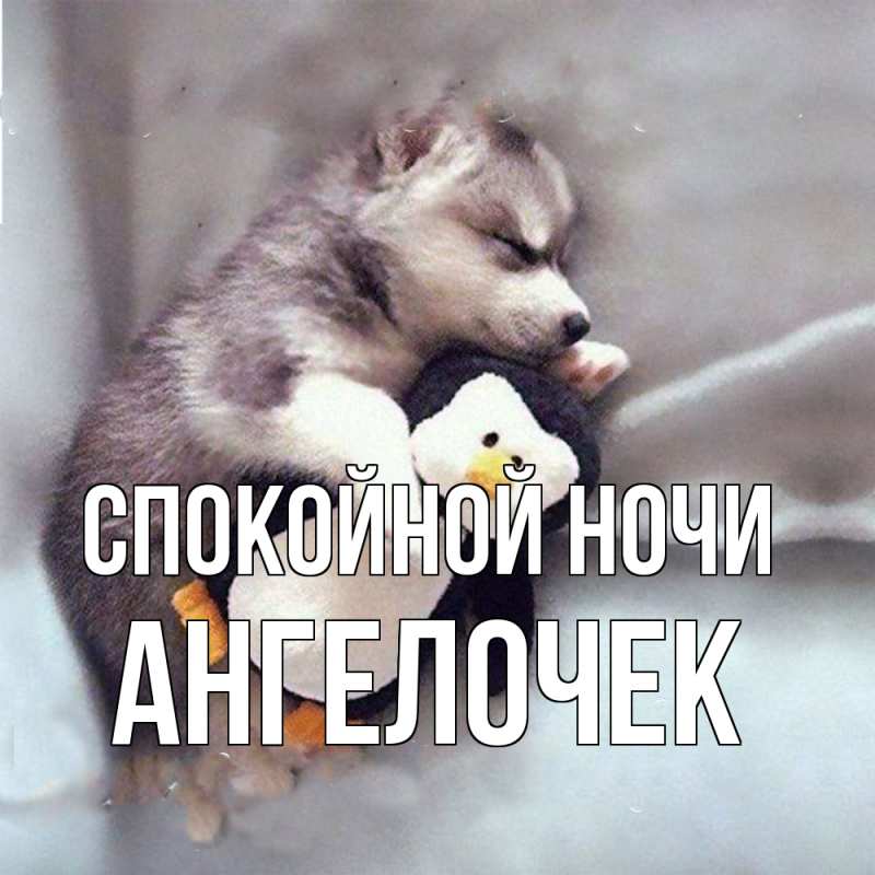 Картинка Спокойной ночи, Ангелочек