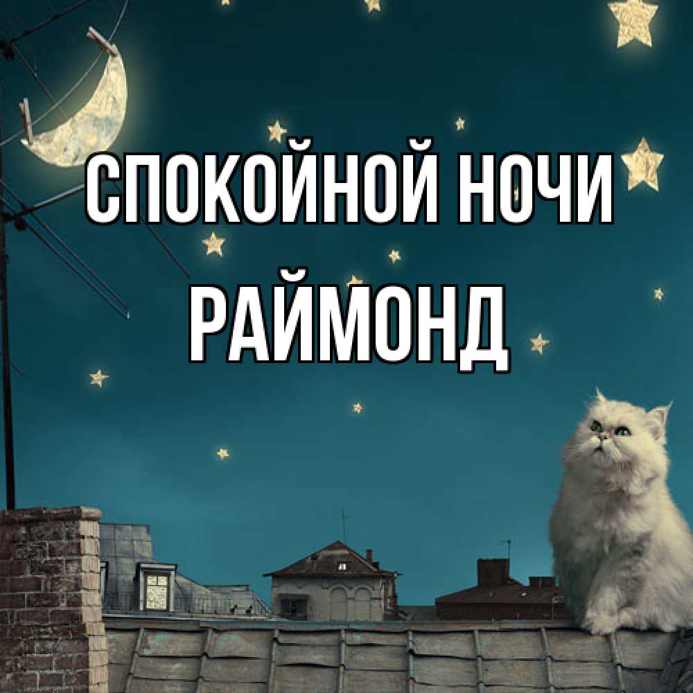 Открытка на каждый день с именем, Раймонд Спокойной ночи белый кот сидит на крыше Прикольная открытка с пожеланием онлайн скачать бесплатно 
