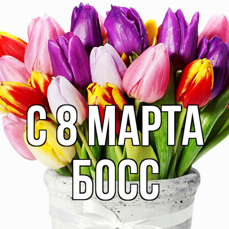Картинка C 8 МАРТА, Босс
