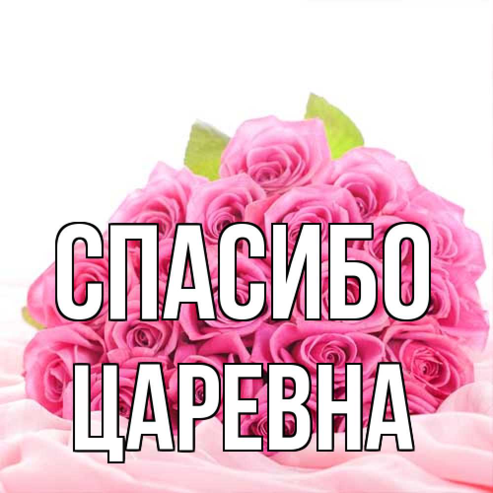 Открытка на каждый день с именем, царевна Спасибо розовые розы с подписью Прикольная открытка с пожеланием онлайн скачать бесплатно 