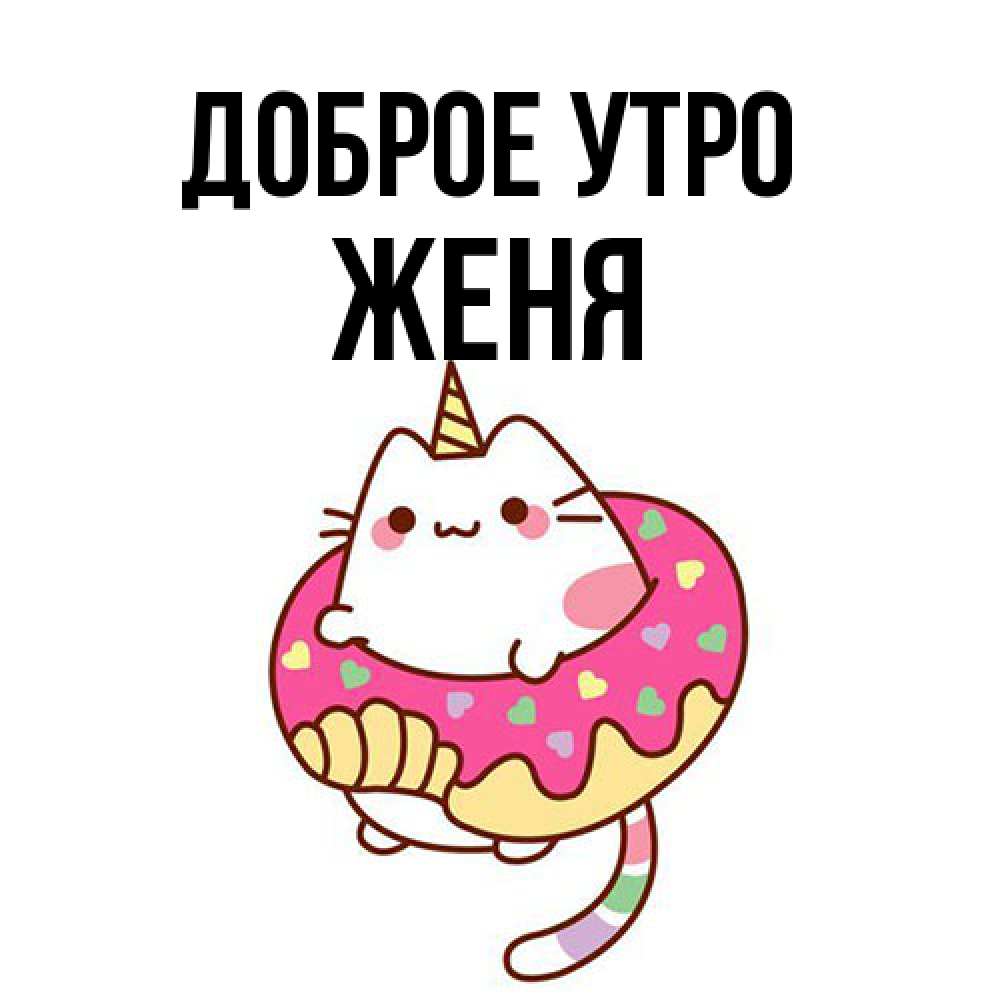 Открытка на каждый день с именем, Женя Доброе утро кот в бублике Прикольная открытка с пожеланием онлайн скачать бесплатно 