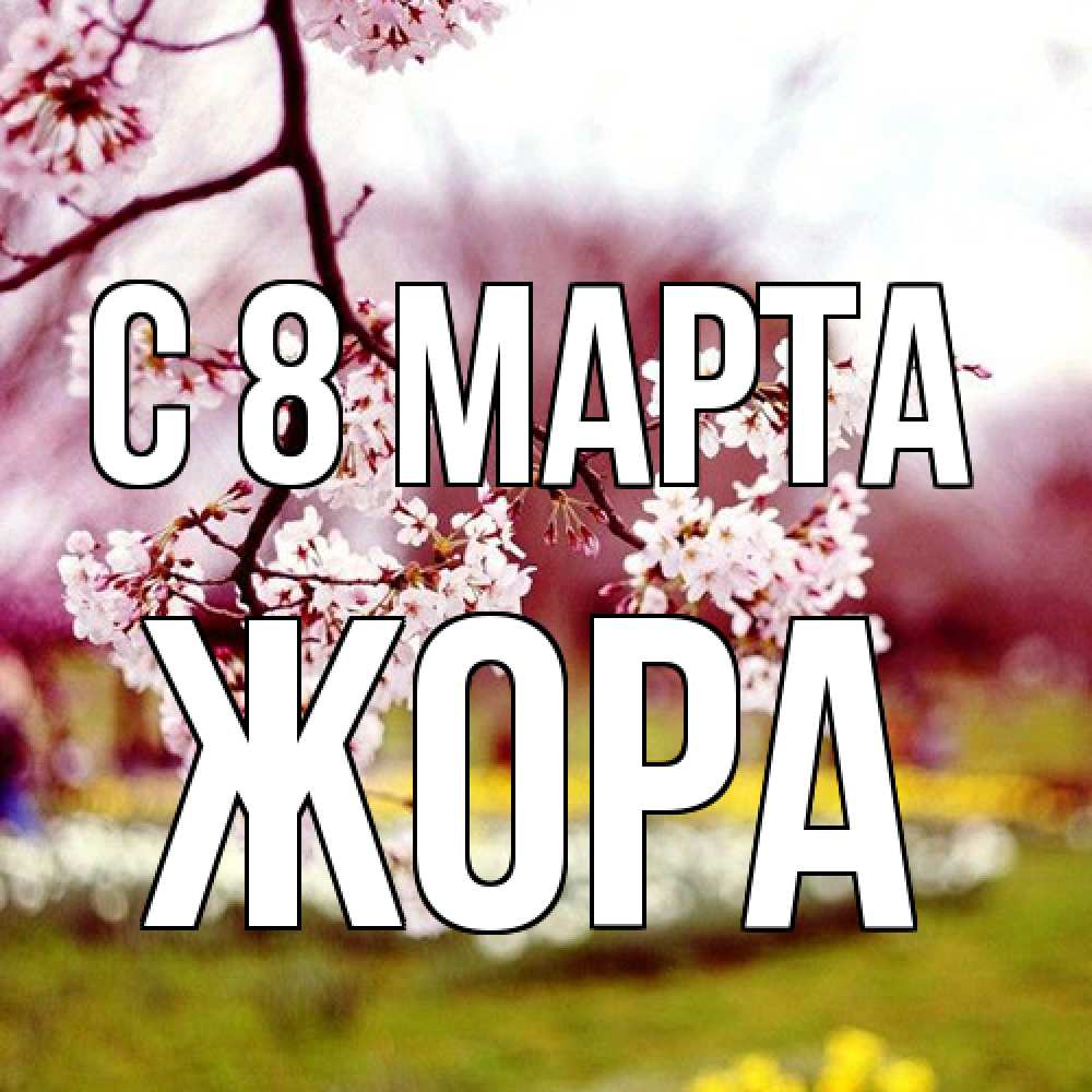 Открытка на каждый день с именем, Жора C 8 МАРТА яблоня Прикольная открытка с пожеланием онлайн скачать бесплатно 