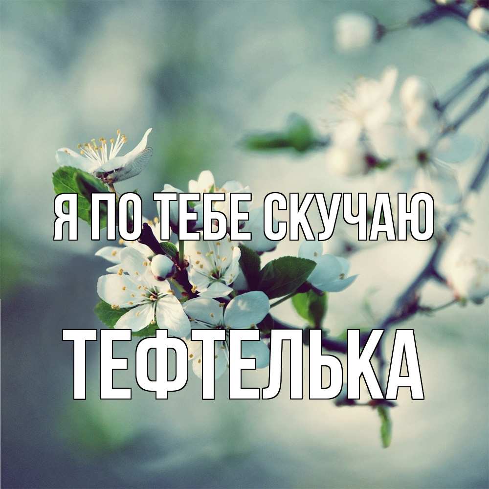 Открытка на каждый день с именем, тефтелька Я по тебе скучаю весна Прикольная открытка с пожеланием онлайн скачать бесплатно 