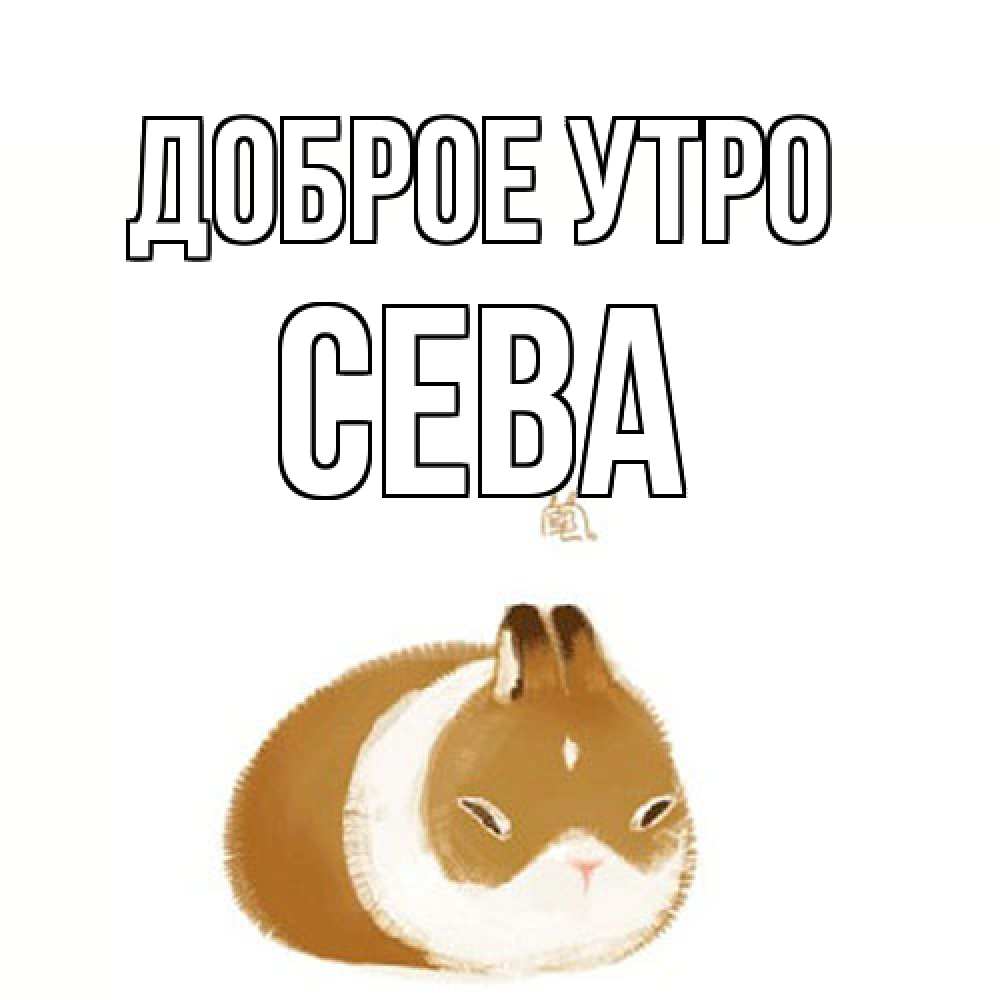 Открытка на каждый день с именем, Сева Доброе утро хорошего утречка Прикольная открытка с пожеланием онлайн скачать бесплатно 